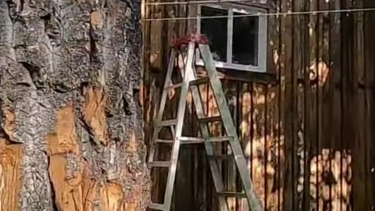 Axe Throwing Fails! Squirrels Beware! Epic Hatchet Moments! #livingoffgrid