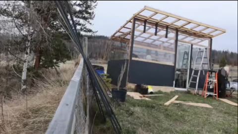 Decided to spruce up the greenhouse :)