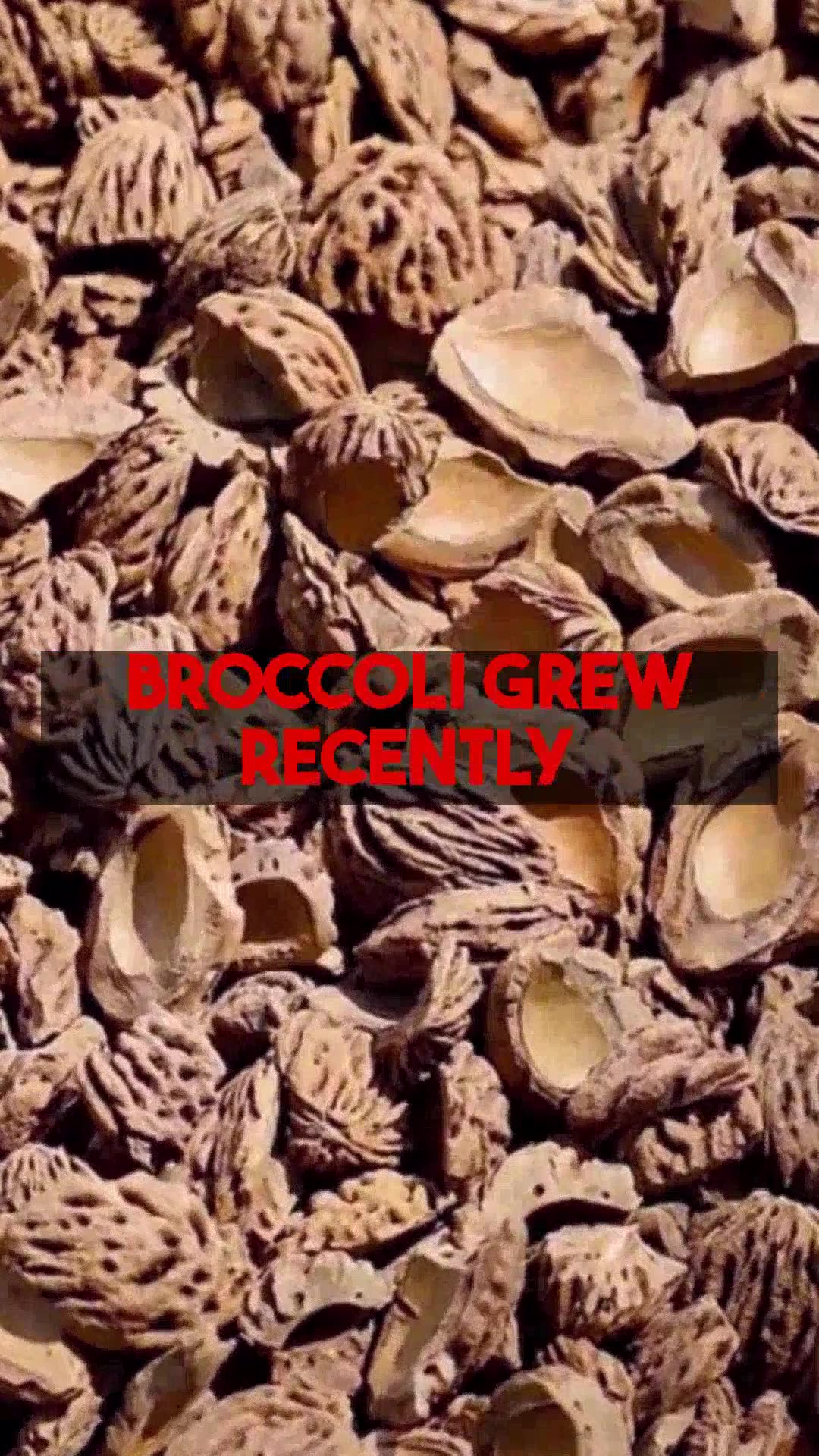 Key Steps To Successful Mustard Growing