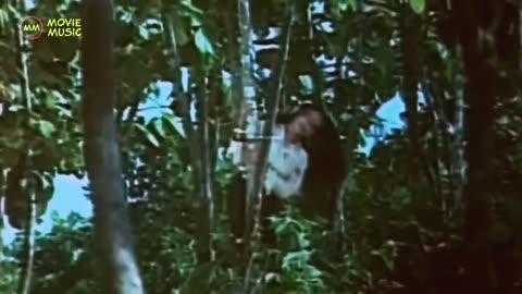 Bangla Love Song #movie #moviesong #shorts #moviesongvideo #rumbleshorts #viral #trending