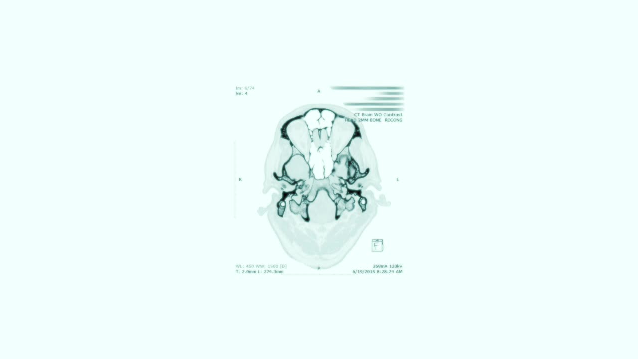 Last Longer In Bed - Morphic Field + Subliminal