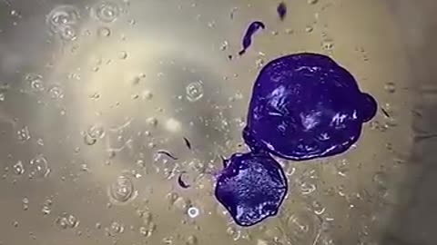 Breaking: Using Purple Hair Dye in Slime!