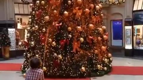 Climate activists are the worst