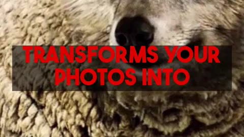 Dissecting AI Assisted Black and White Image Transformation