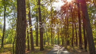 From Faith to Fear: Cultivating a Hope Mindset