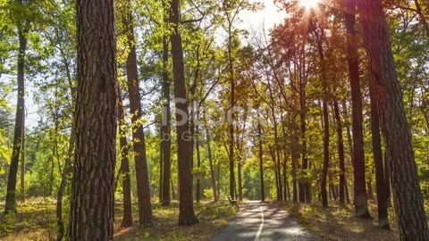 From Faith to Fear: Cultivating a Hope Mindset