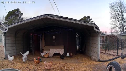 Spring Like Temperatures Today!