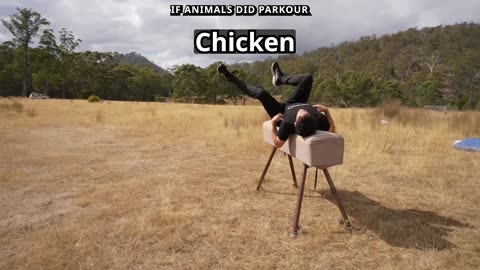 Funny Video