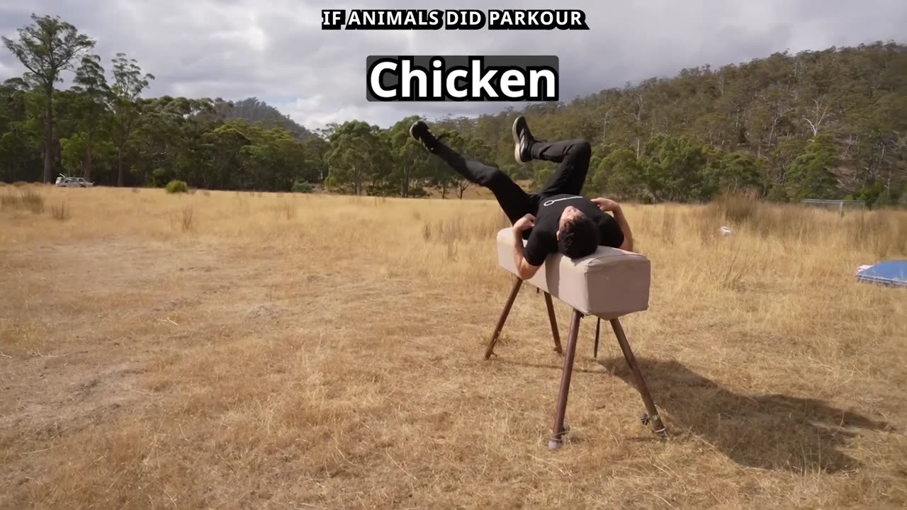 Funny Video