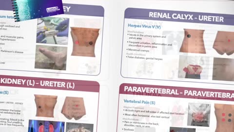 Guidebook for Biomagnetism: Enhance Therapy Skills with Dr Luis Garcia’s Expert Insights