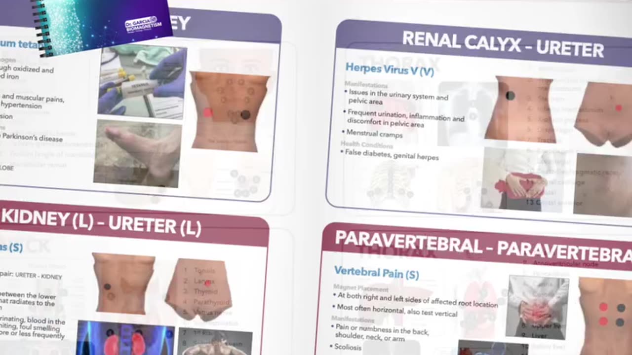 Guidebook for Biomagnetism: Enhance Therapy Skills with Dr Luis Garcia’s Expert Insights