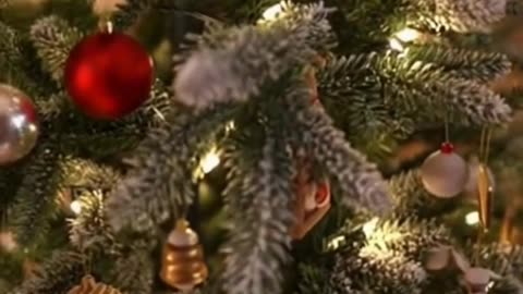 🐶🎄 My Dog Took “Guarding the Christmas Tree” WAY Too Seriously 😂✨