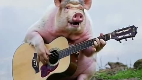 #ai #pig #seeyouagain #guitar #fyp