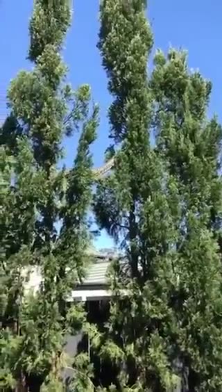 Welcome to Australia 🇦🇺