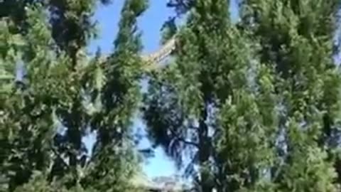 Welcome to Australia 🇦🇺