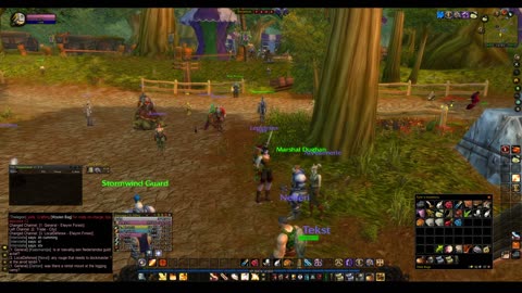 Turtle wow - The new server Ambershire - Paladin POV - Hammer time ! and turtle mount