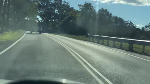 Driving with your pal Rascal 🕺