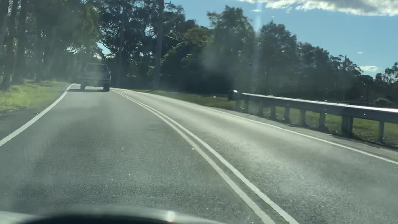 Driving with your pal Rascal 🕺