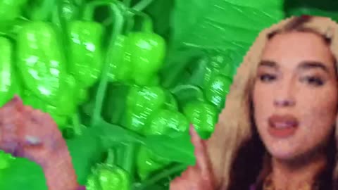 Chocolate Bhutlah Dua Lipa Superman 🤘🏻🌶️🌱👩‍🎤🦸🏻‍♂️
