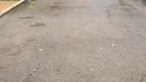 We got hit hard - Large tornado touchdown in St. Louis