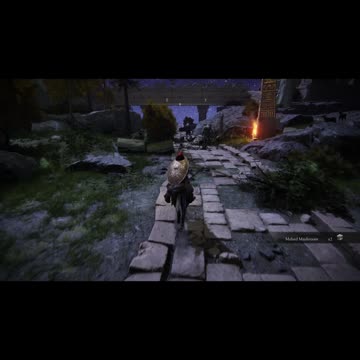 Elden Ring PC | Clarifying Horn Charm +1 and Celestial Dew from Ancestral Woods #eldenring #gaming