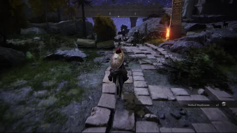 Elden Ring PC | Clarifying Horn Charm +1 and Celestial Dew from Ancestral Woods #eldenring #gaming