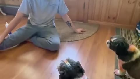 Mimicking my dog 🐶🐕