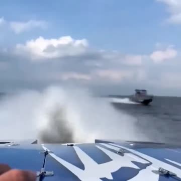 This is the best entertainment you could ever dream of