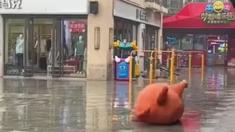 暴力又可爱的家伙们