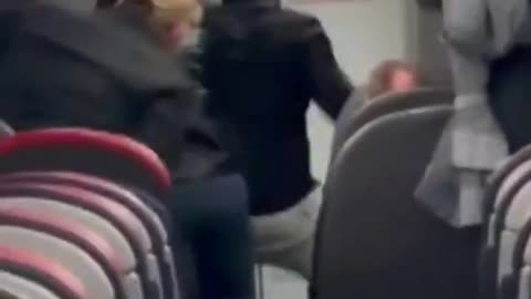 American Airlines passenger throwing punches at flight attendants