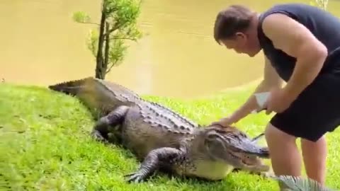 😮✨ You Won't Believe What This Dude Saw! | FeedMyCuriosity