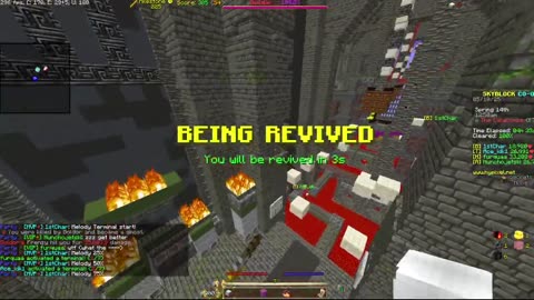 Skyblock FLOOR 7 [#2364]