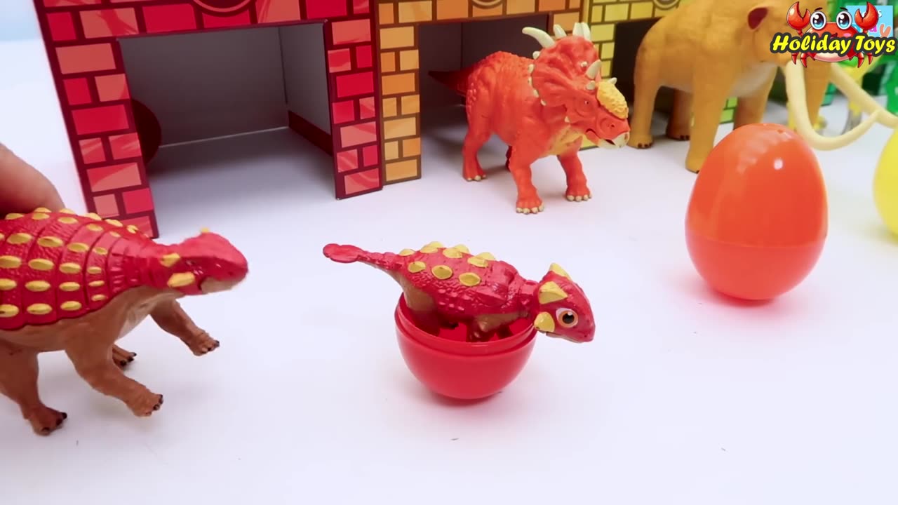 Put Five Eggs in Colorful Box in the House