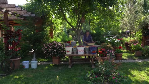 Long-Term Preservation- How to Keep Cherry Plums for Years