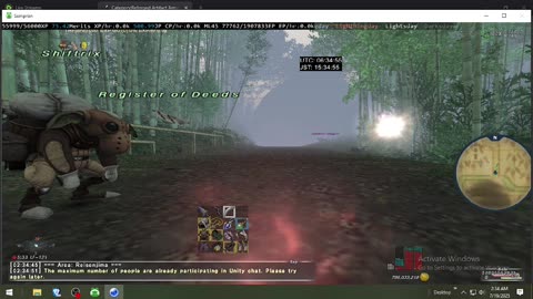 Playing Final Fantasy XI Online