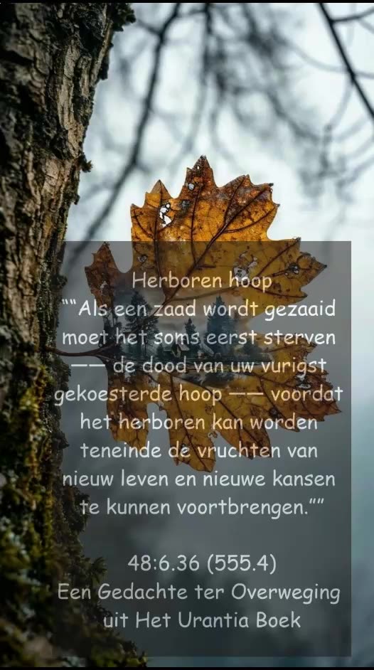 Herboren Hoop