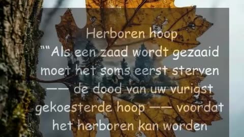 Herboren Hoop