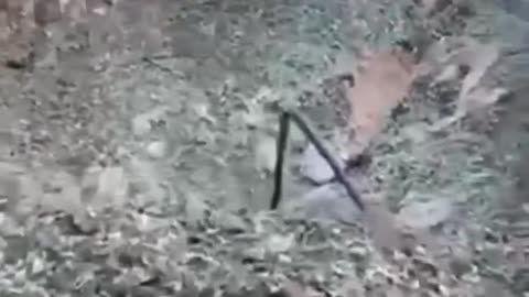 🛡️🔥 Ukraine Russia War | Crater from Downed Missile in Kyiv Neighborhood | RCF