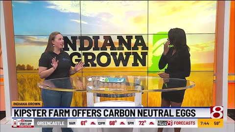 Indiana Grown: Kipster Farm is pioneering egg production