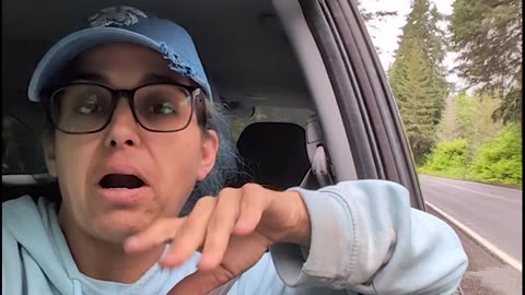 Pulling Over After Seeing Loose Logs on Truck