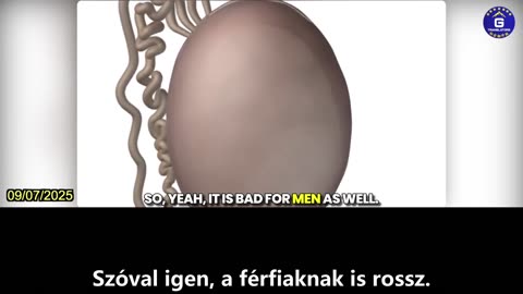 【HU】Tanulmány szerint az mRNS COVID-19 vakcinák csökkentik a spermiumok számát és mozgékonyságát