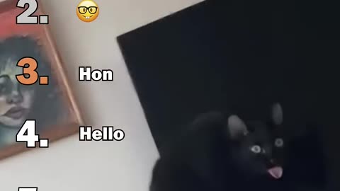 Ranking Best Black Cats Void Moments