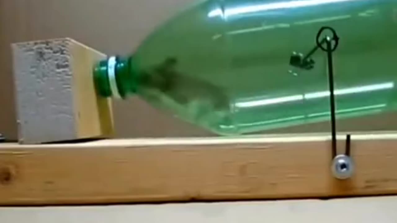 Clever mouse trap🤯
