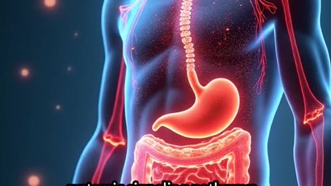 Skin-Gut Cell Turnover | How Does Your Skin Replace Itself Every Month?