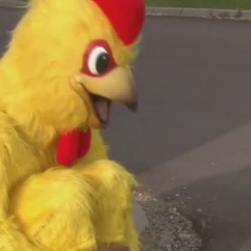 “A Chicken Lived Without Its Head?! 😳🐔”