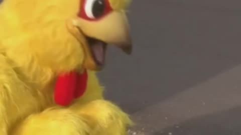 “A Chicken Lived Without Its Head?! 😳🐔”