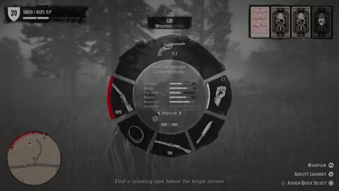 Red Dead Redemption 2 PS5 GamePlay