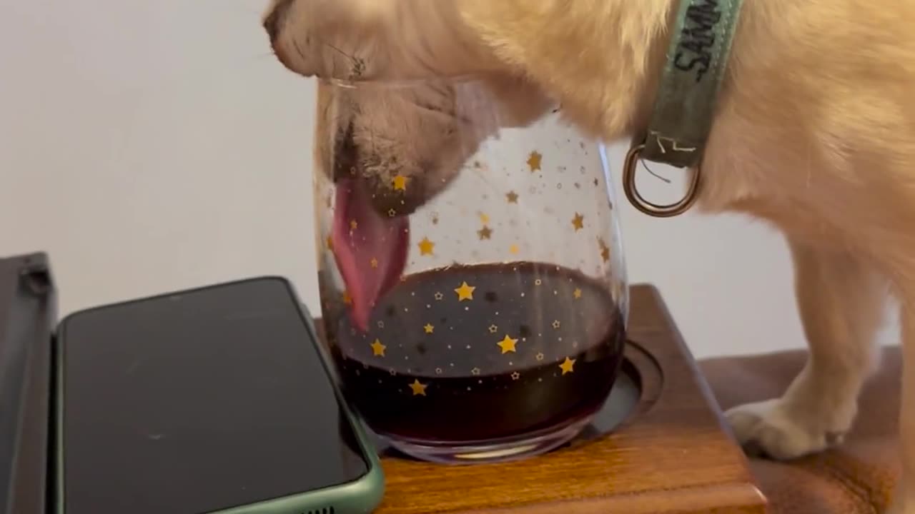 Sammich has a drinking problem.