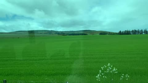 Bus ride in Easter Ross through the Seaboard Villages