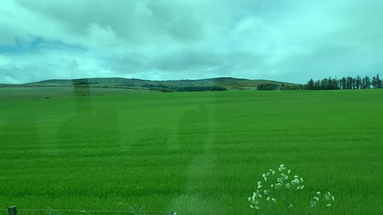Bus ride in Easter Ross through the Seaboard Villages